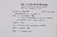 烏蕨藏品圖，第2張