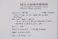 細裂蹄蓋蕨藏品圖，第2張