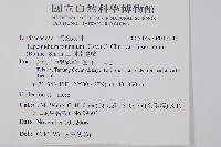 二羽達邊蕨藏品圖，第2張