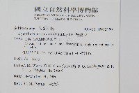 海金沙藏品圖，第2張