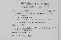 掌葉茀蕨藏品圖，第2張