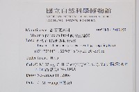 觀音座蓮舅藏品圖，第2張