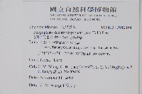 翅軸假金星蕨、短柄卵果蕨藏品圖，第2張