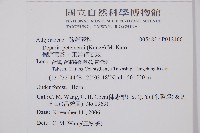 假蹄蓋蕨、東洋蹄蓋蕨藏品圖，第2張