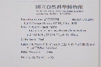 刺蕨藏品圖，第2張