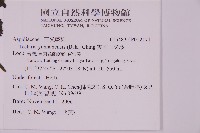 雲南三叉蕨藏品圖，第2張