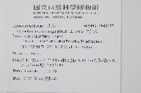 長片蕨藏品圖，第2張