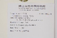 過山龍藏品圖，第2張