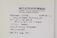 瓦葦藏品圖，第2張