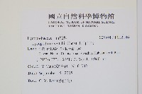 玉山石松藏品圖，第2張