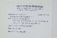 石葦藏品圖，第2張