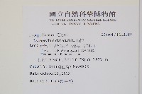 石松藏品圖，第2張