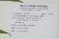 肢節蕨藏品圖，第2張