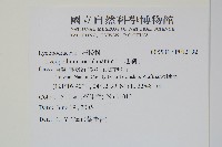 地刷子藏品圖，第2張