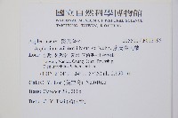 威氏鐵角蕨藏品圖，第2張