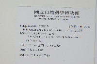 阿里山水龍骨藏品圖，第2張