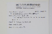 槭葉石葦藏品圖，第2張