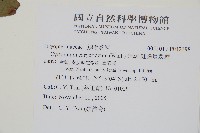 細齒貫眾蕨藏品圖，第2張