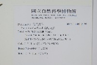 溪鳳尾蕨藏品圖，第4張