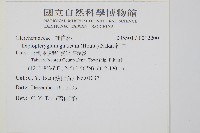 裡白藏品圖，第2張