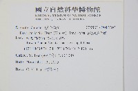 密鱗鱗毛蕨藏品圖，第2張