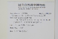 擬芨瓦葦藏品圖，第2張