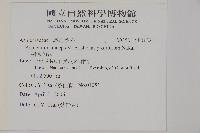 三翅鐵角蕨藏品圖，第2張