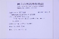 對開蕨藏品圖，第2張