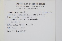 臺灣鱗毛蕨藏品圖，第2張