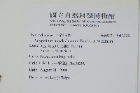 登錄號:P012229藏品圖，第2張