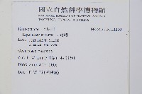 問荊藏品圖，第2張