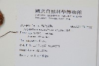 登錄號:P012232藏品圖，第2張