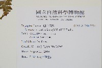 登錄號:P012234藏品圖，第2張