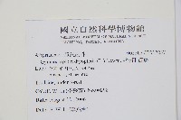 歐洲羽節蕨藏品圖，第2張