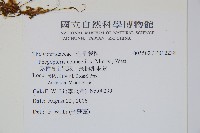 長柄假金星蕨、長柄卵果蕨藏品圖，第2張