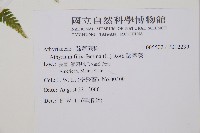 蹄蓋蕨藏品圖，第2張