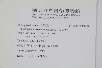 登錄號:P012241藏品圖，第2張