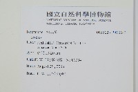 登錄號:P012243藏品圖，第2張