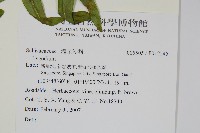 登錄號:P012245藏品圖，第2張