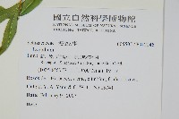 登錄號:P012246藏品圖，第2張