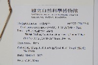 鐵毛蕨、毛蕨藏品圖，第2張