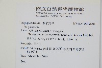 鞭葉耳蕨藏品圖，第2張