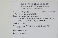 天草鳳尾蕨藏品圖，第2張