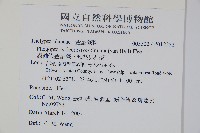 翅軸假金星蕨、短柄卵果蕨藏品圖，第2張