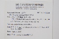 長片蕨藏品圖，第2張