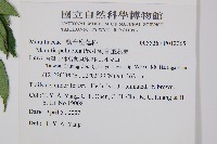 觀音座蓮舅藏品圖，第2張