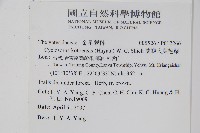 蘭嶼大葉毛蕨、蘭嶼圓脈蕨藏品圖，第2張