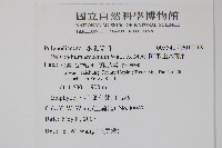 阿里山水龍骨藏品圖，第2張