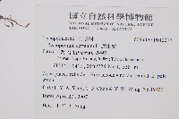 過山龍藏品圖，第2張