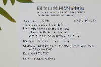 紫萁藏品圖，第2張